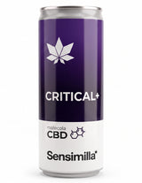 Critical+