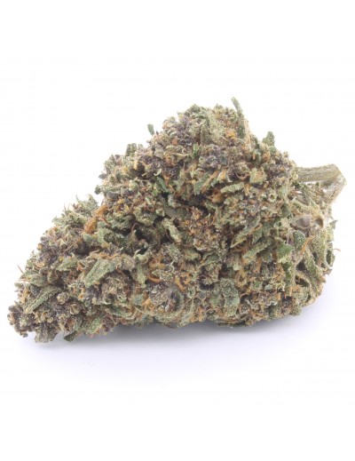 SOUR DIESEL - 5/10g - Ethera - Cannabis light Italia - Shop Online