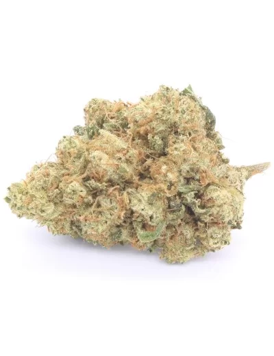 northern lights