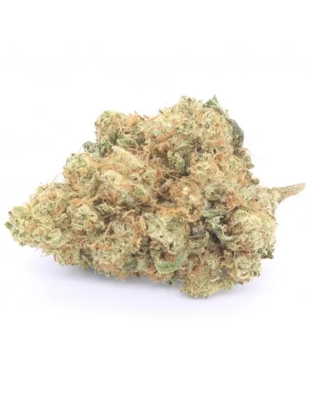 northern lights