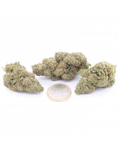 Runtz Muffin [Indoor]