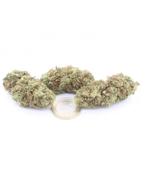 lemon haze infiorescenze