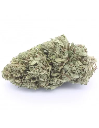 bubblegum og infiorescenza