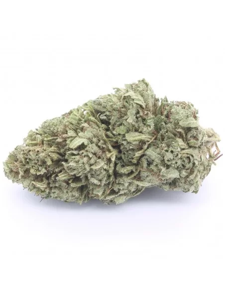 bubblegum og infiorescenza