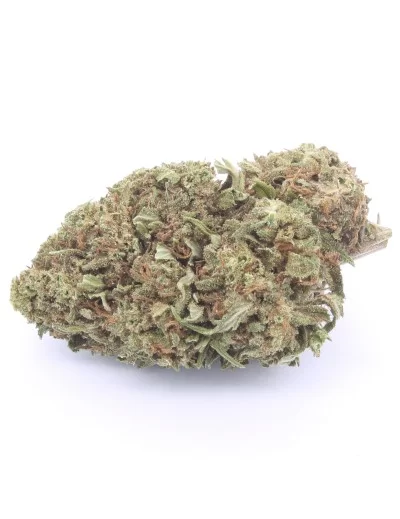 inflorescencia del queso