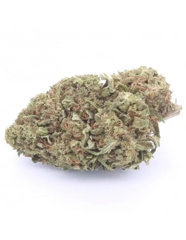 inflorescencia del queso