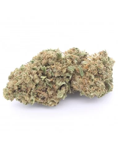 amnesia haze infiorescenza
