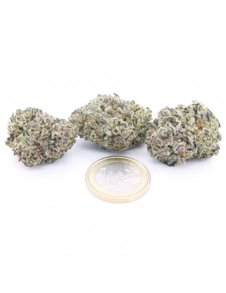 zkittlez infiorescenze