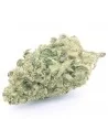 white widow infiorescenza