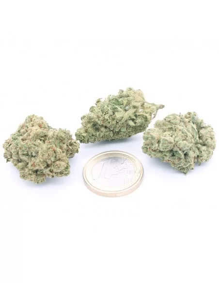 white widow infiorescenze
