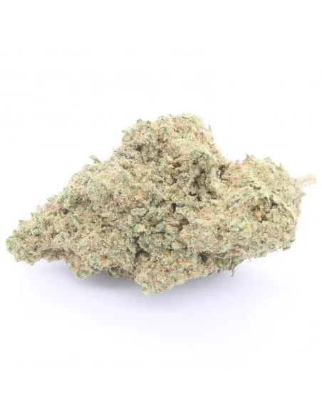 ak47 infiorescenza