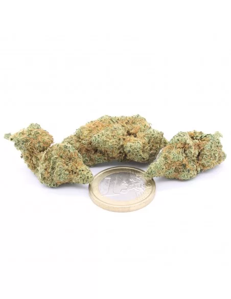 pineapple express infiorescenze