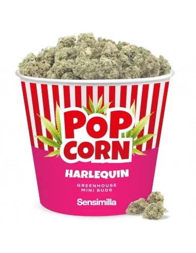 Harlequin Popcorn