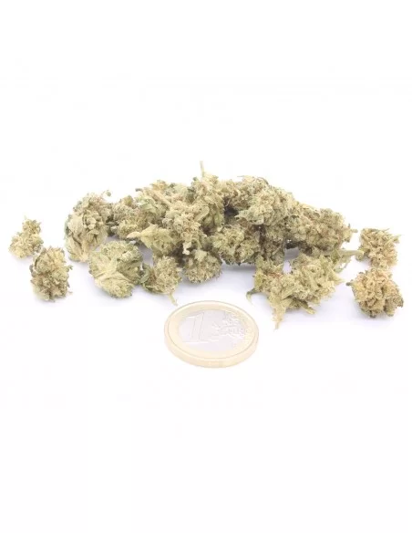 Cannatonic Popcorn