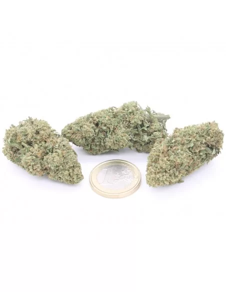 super skunk infiorescenze