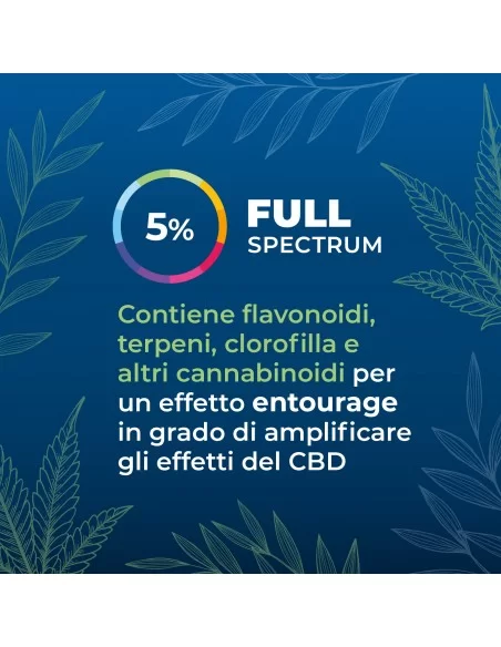 Olio CBD 20% 10 ml