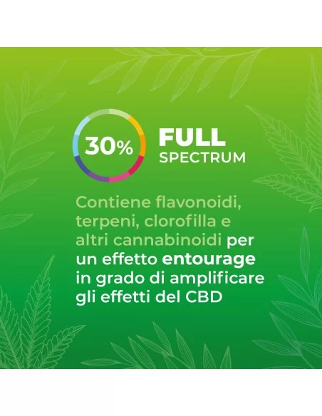 Olio CBD 30% secondaria