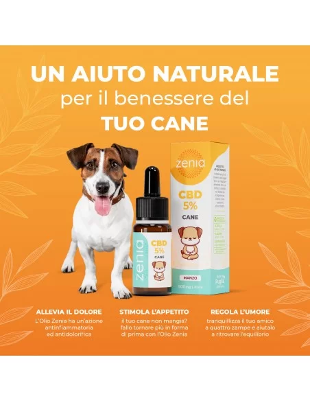 Olio CBD 10% 10 ml