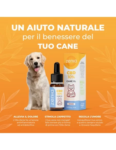 olio cbd cane xl secondaria 10ml