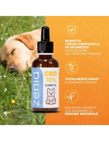 olio cbd cane xl secondaria