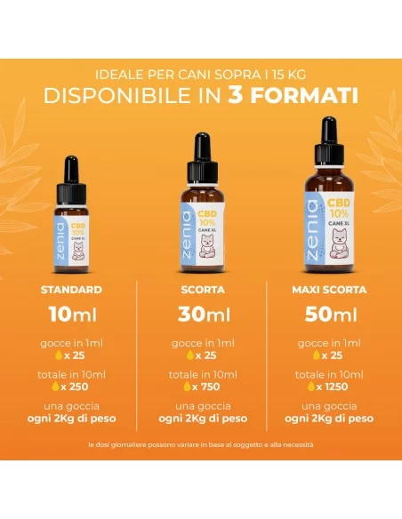 olio cbd cane xl secondaria