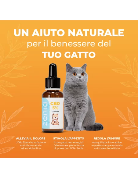 Olio CBD 10% 10 ml