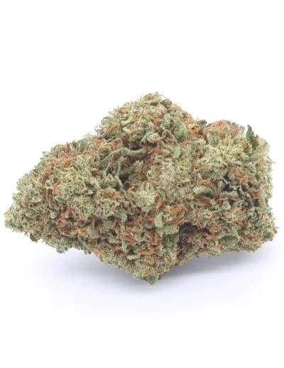 strawberry infiorescenza