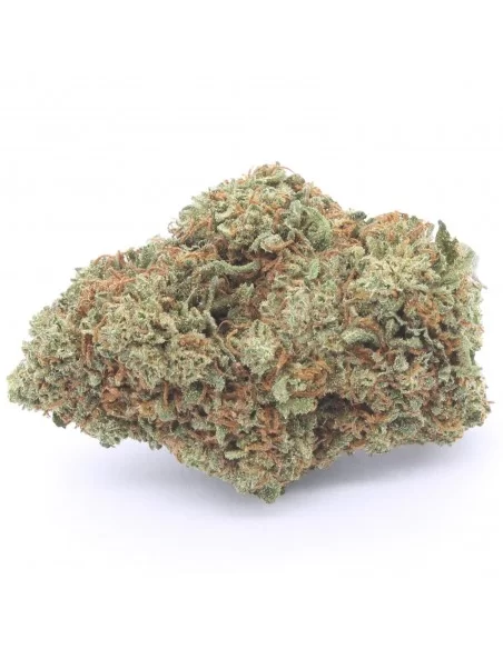 strawberry infiorescenza