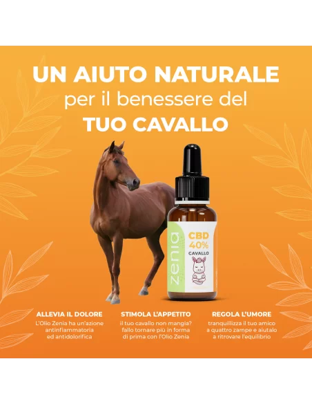 Aceite de CBD para caballos 40% secundario