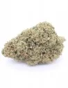gelato 41