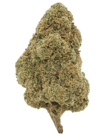 Super Silver Haze