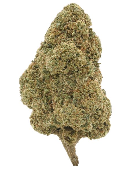super silver haze cima singola