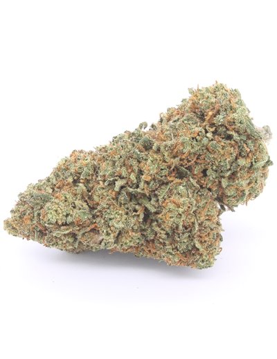 blue dream infiorescenza