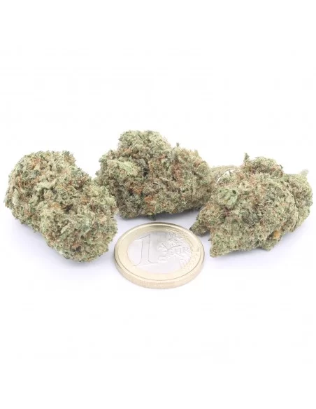 pineapple express infiorescenza