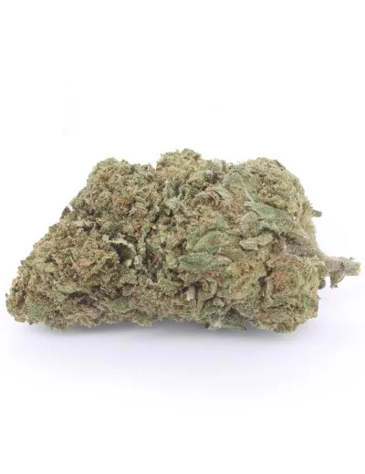 amnesia haze infiorescenza