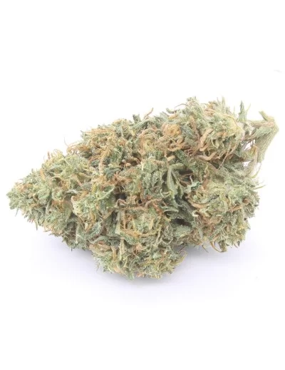 orange bud infiorescenza