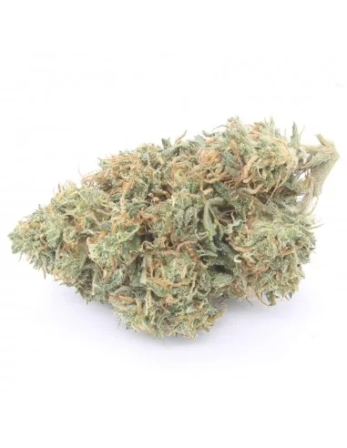 orange bud infiorescenza
