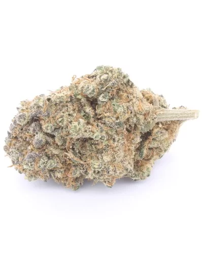 og kush infiorescenza