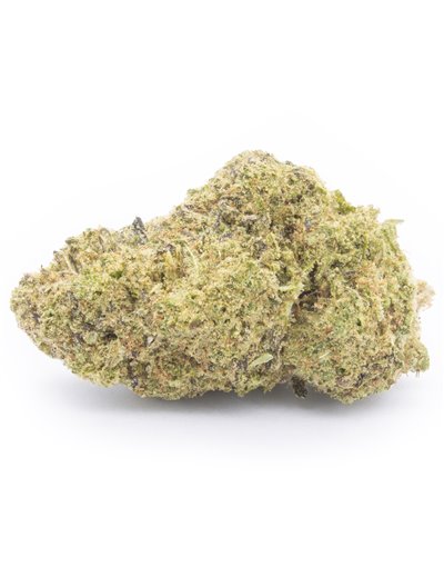 girl scout cookies infiorescenze