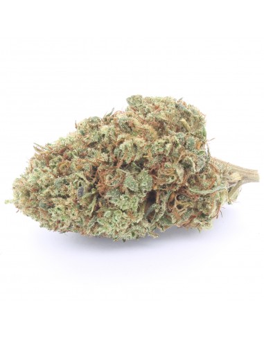 inflorescencia lemon haze