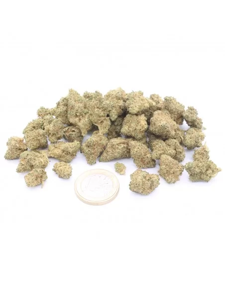 lime cookie infiorescenza
