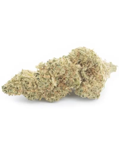 lime cookie infiorescenza