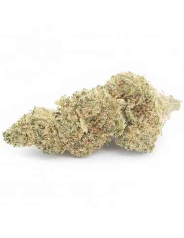 lime cookie infiorescenza