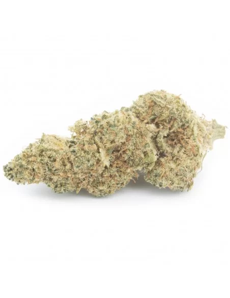 lime cookie infiorescenza