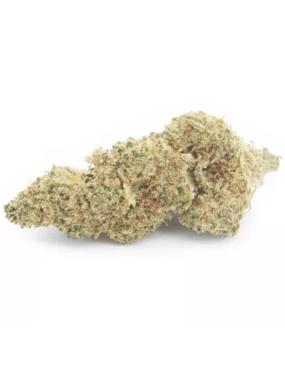lime cookie infiorescenza