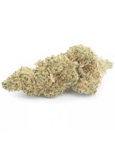 lime cookie infiorescenza