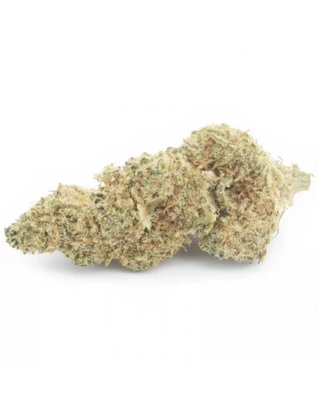 lime cookie infiorescenza