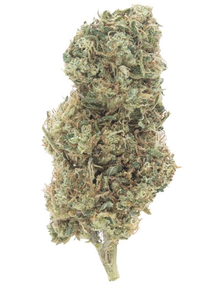 orange bud infiorescenza