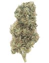 orange bud infiorescenza