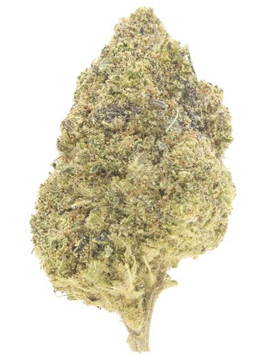 girl scout cookies infiorescenza